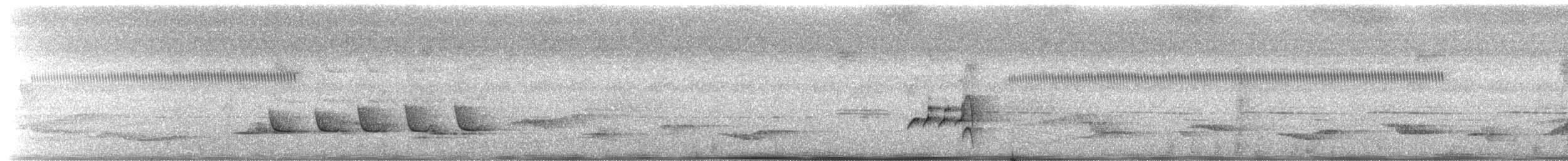 White-winged Becard - ML659176813