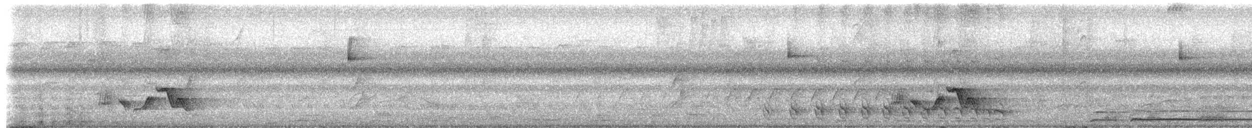 Dusky Antbird - ML659177905