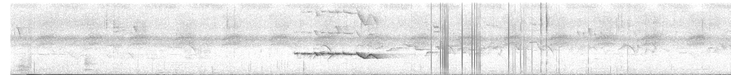 Rufous Sibia - ML659179885