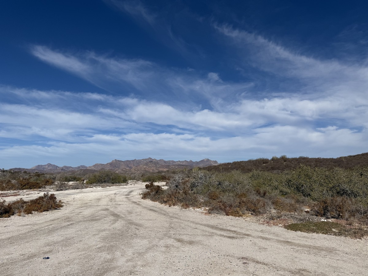 null - ML659180248