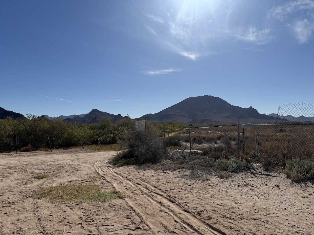 null - ML659180249
