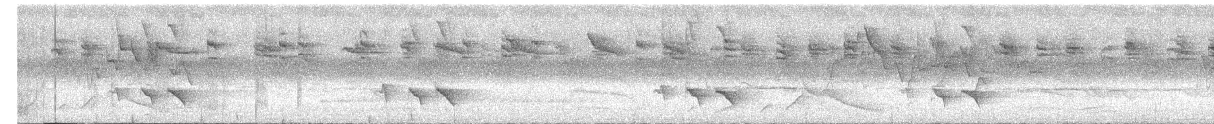 White-browed Shrike-Babbler - ML659180268