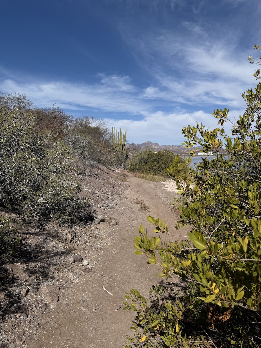null - ML659180404