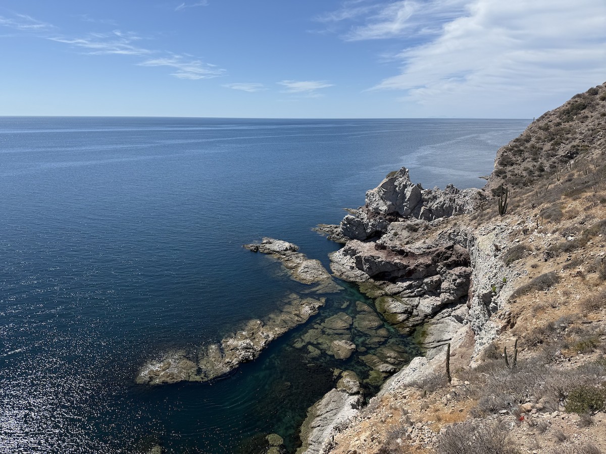 null - ML659180628