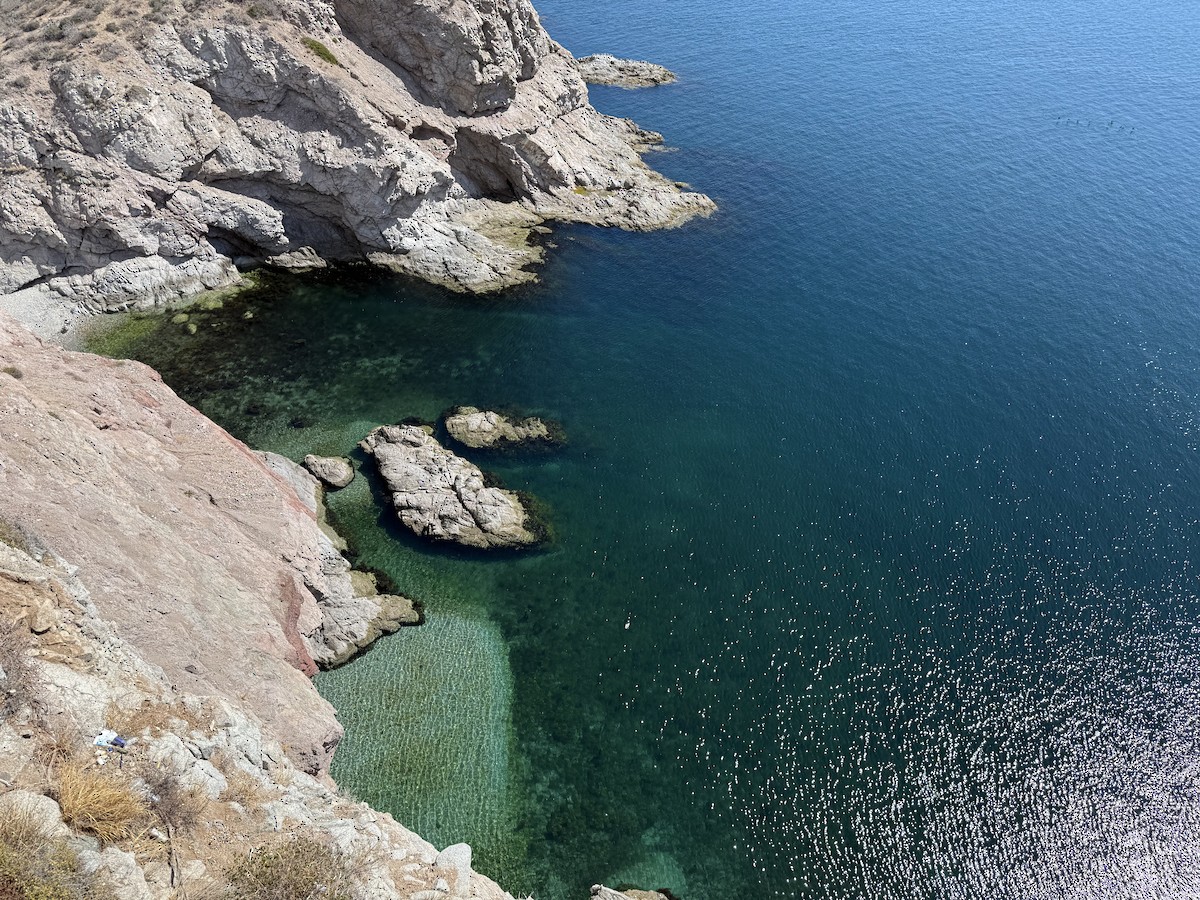 null - ML659180645