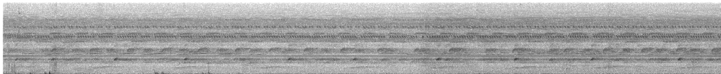 Starred Wood-Quail - ML659186628