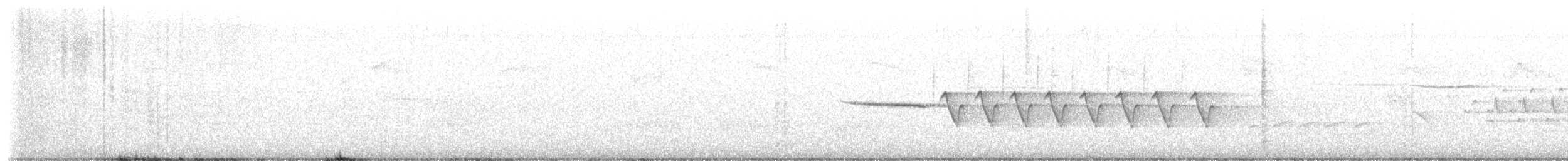 Bachman's Sparrow - ML659193711