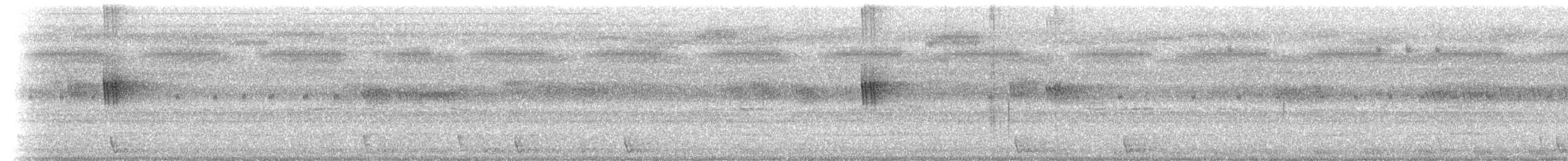 Large-tailed Nightjar - ML659202494