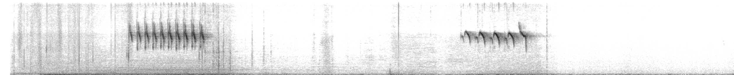Плиска гірська - ML659203772