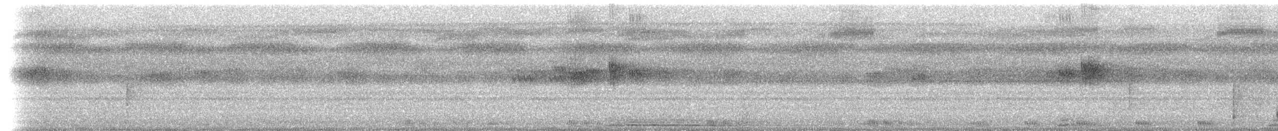Large-tailed Nightjar - ML659206111