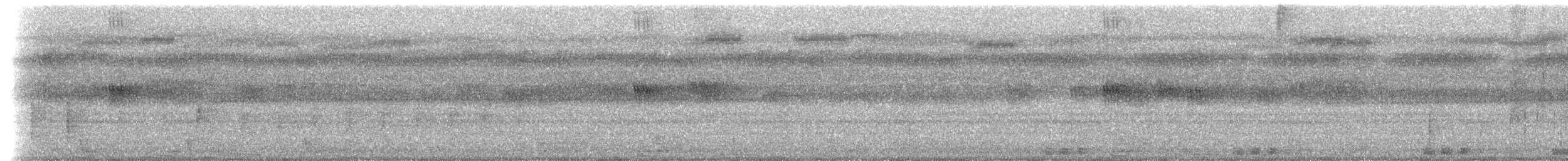 Large-tailed Nightjar - ML659206112