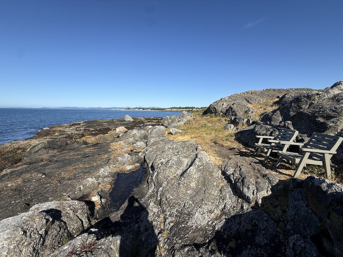 null - ML659217694