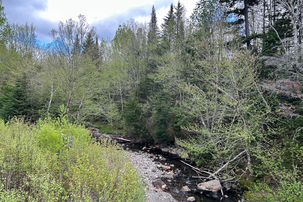 null - ML659224572