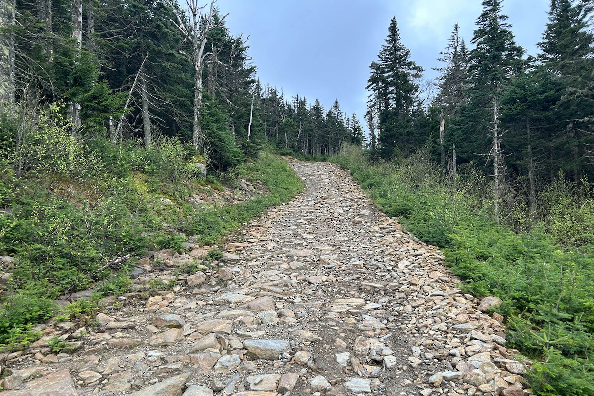 null - ML659224573