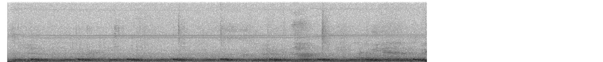 Hill Pigeon - ML659224928