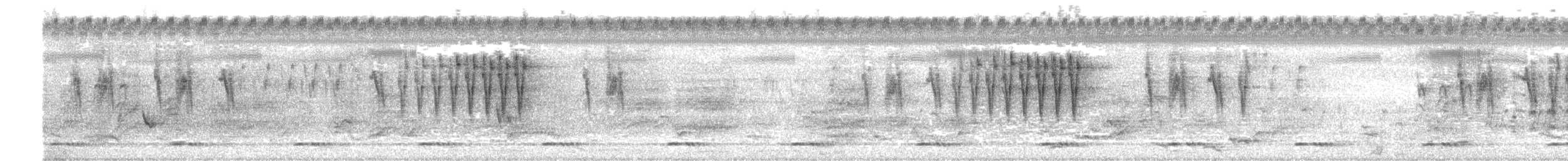 gråbrystprinia - ML659226548