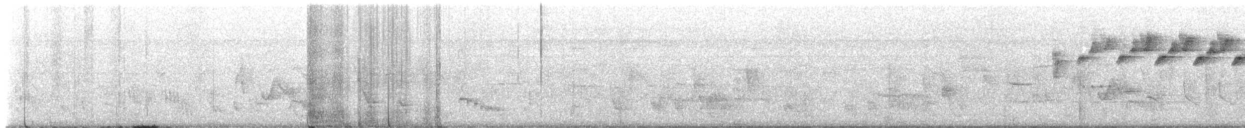 Black-and-white Warbler - ML659230753