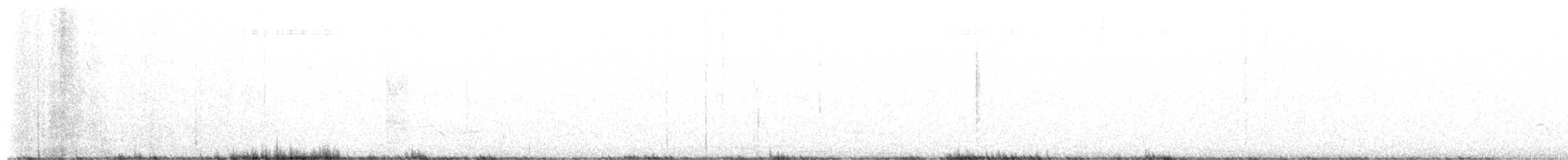 Pied Crow - ML659232323
