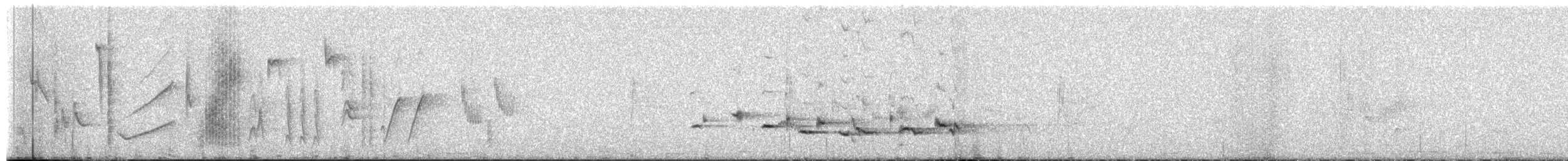 Scott's Oriole - ML659252292