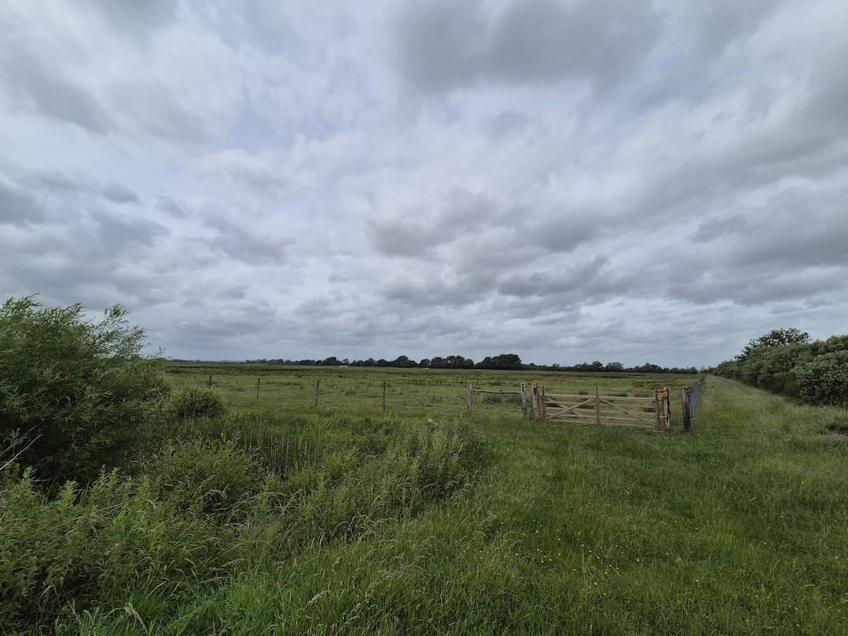 null - ML659255598