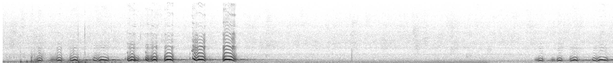 チャイロアメリカフクロウ - ML659261833