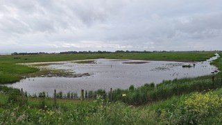 Marshside RSPB Reserve, Merseyside, England, United Kingdom - eBird Hotspot