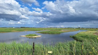 Marshside RSPB Reserve, Merseyside, England, United Kingdom - eBird Hotspot