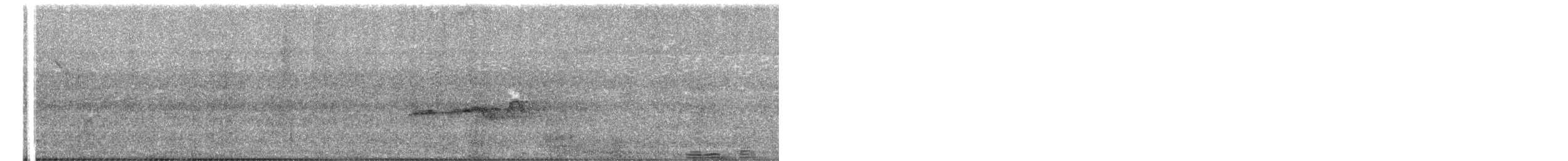 Stripe-backed Antbird - ML659286472