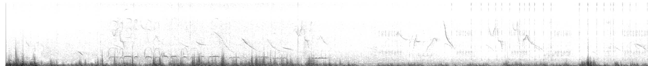 lenivka bělouchá - ML659288014