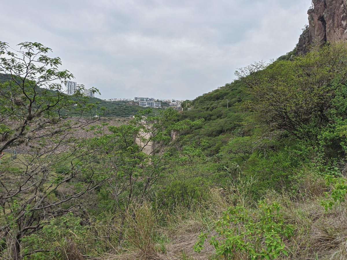 null - ML659296684