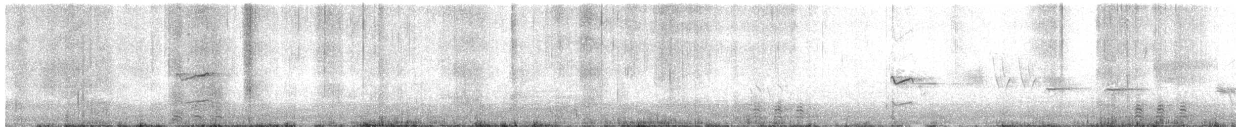 racek západní x šedokřídlý (hybrid) - ML659304430