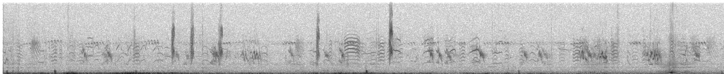 Papagaitxo arrunta - ML659308453