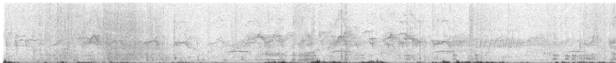 Pied Heron - ML659309058