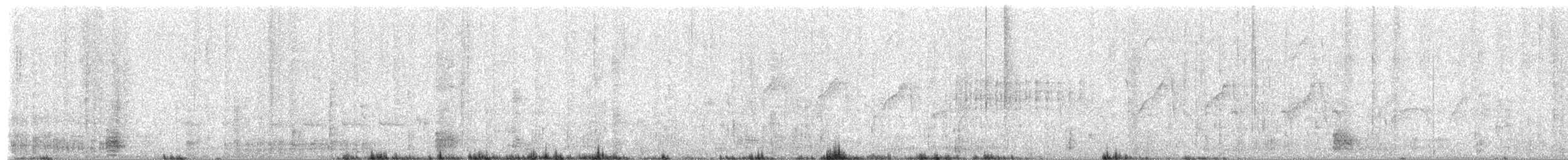 Pied Heron - ML659309076