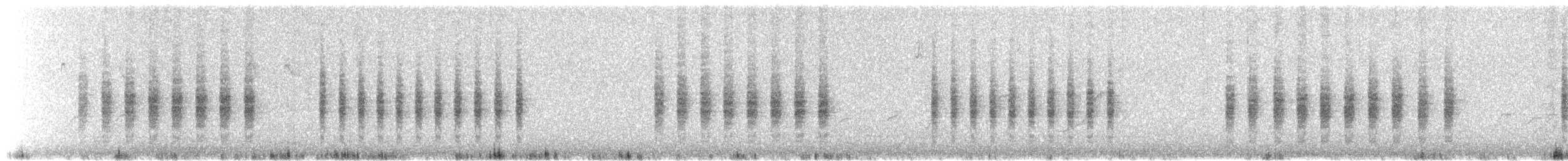 Black-tailed Gnatcatcher - ML659313222