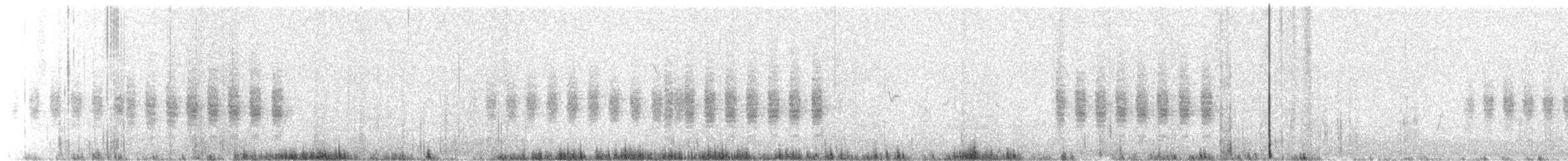 Black-tailed Gnatcatcher - ML659313223