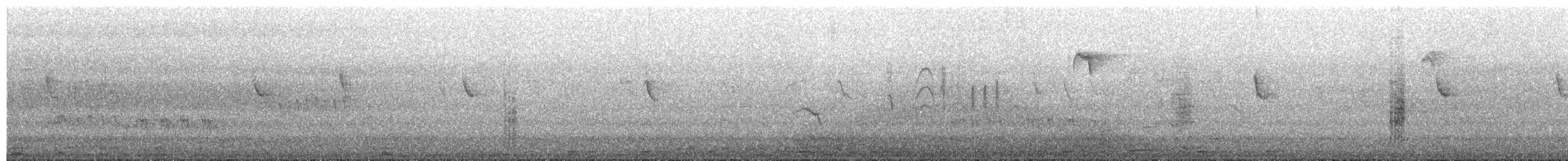 Southern House Wren - ML659313413