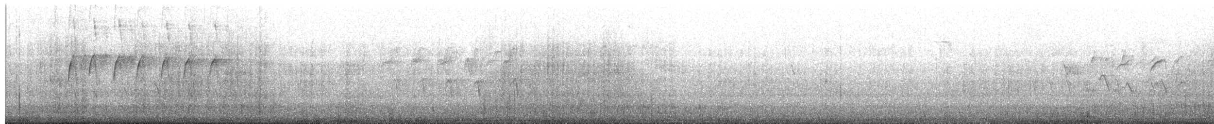 Chiguanco Thrush - ML659313416