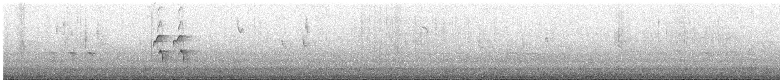 Chiguanco Thrush - ML659313417