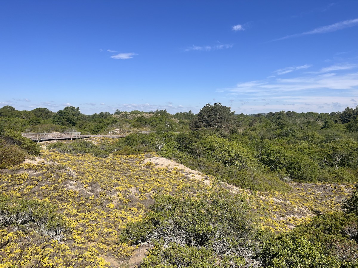 null - ML659314397