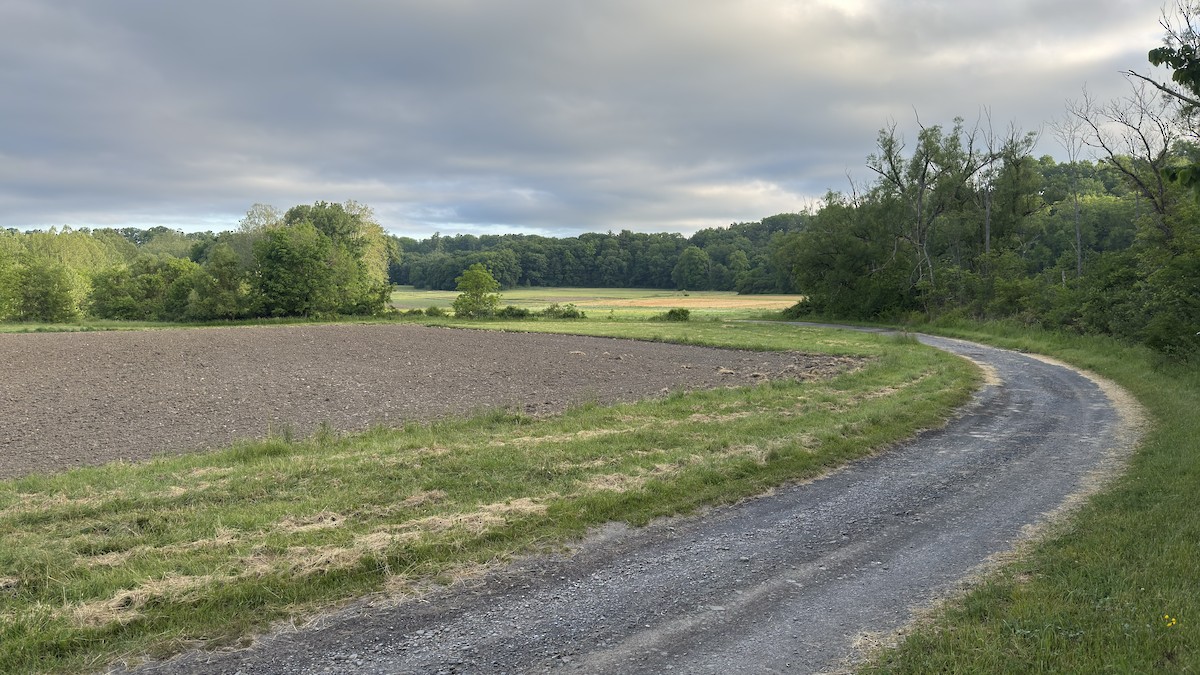 null - ML659316948