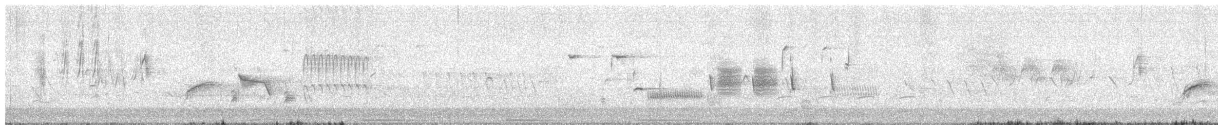rødsidetovi - ML659318582