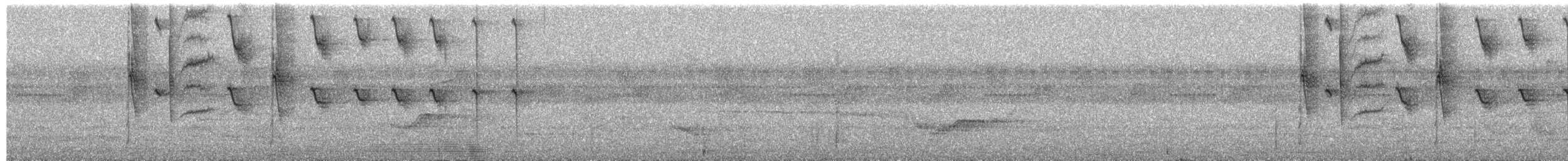 Golden-tailed Sapphire - ML659319031