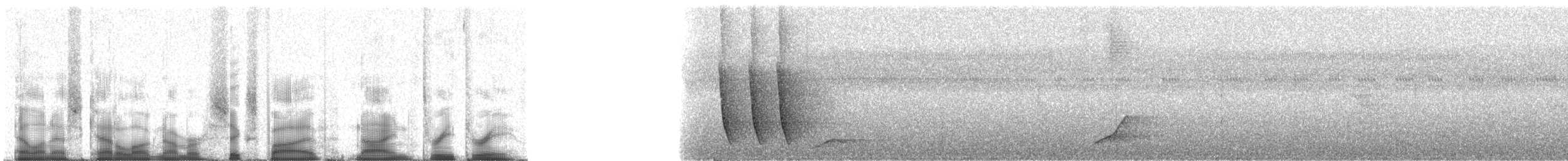 Abanico del Matorral - ML65933