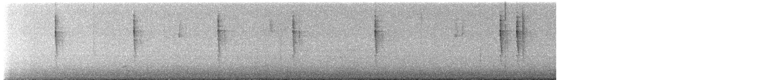 Pacific Wren - ML659331336