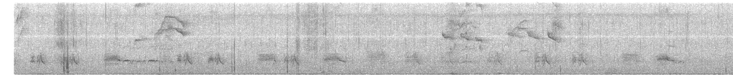 Swainson's Flycatcher - ML659332051