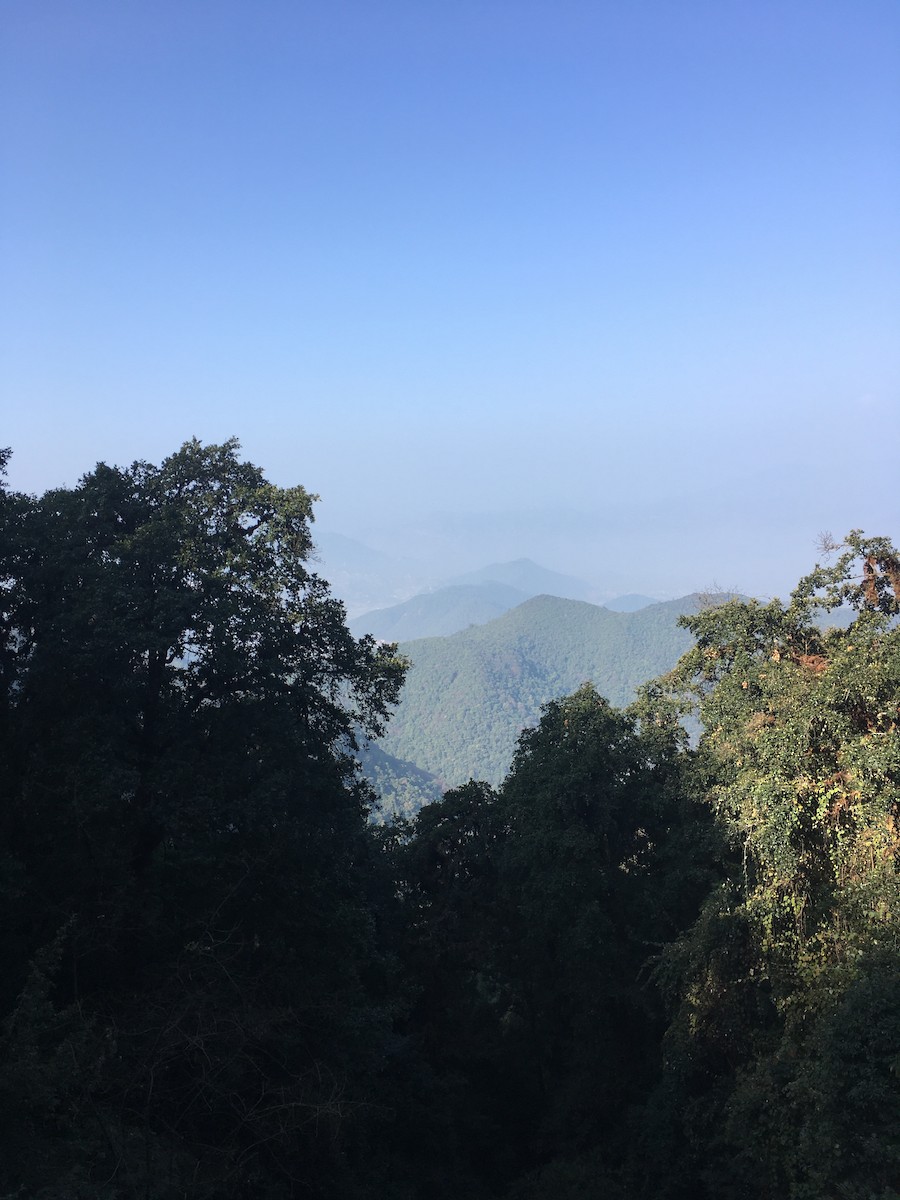 null - ML659337345