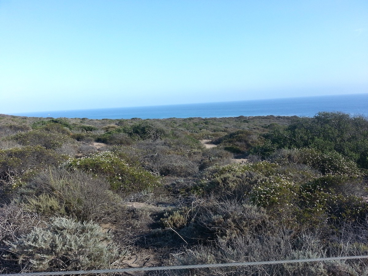 null - ML659343134
