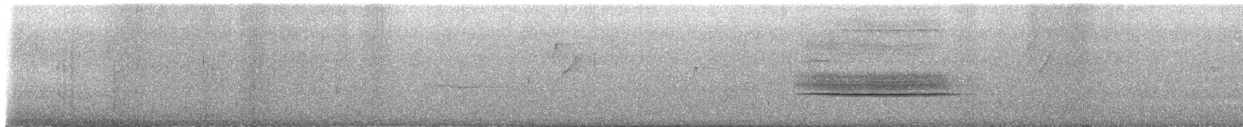 Varied Thrush - ML659349192