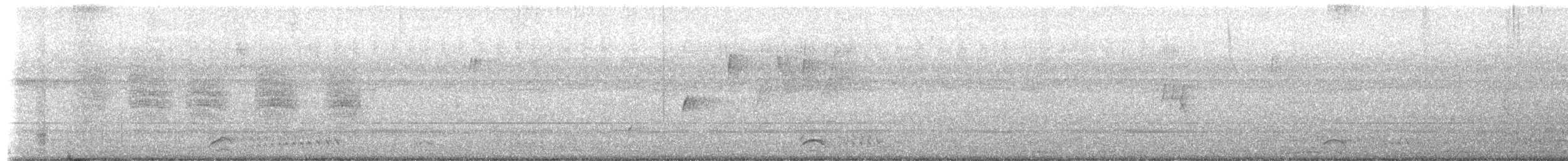 Kolumbienameisenwürger - ML659351039